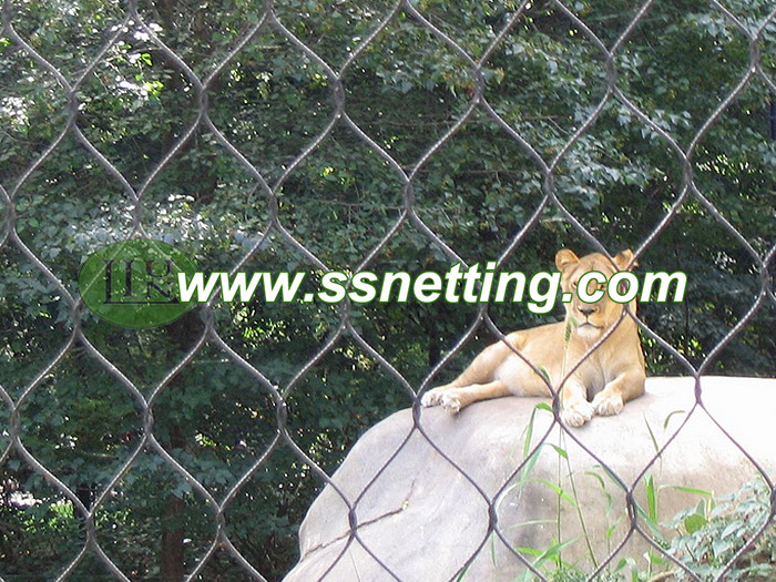 Código de malla del zoológico 1 / 8Inch x 3 pulgadas para la red de barreras de león