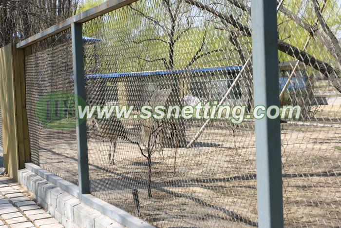China Ostrich Netting Proveeds and Fabricante Venta 2.4mm, 76mm x 76mm Cuerda de alambre Netting PRODUCTOS DE MESA