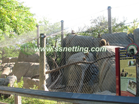 monkey enclosure mesh.jpg