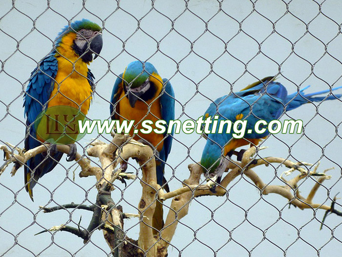 Malla aviaria de Macaw