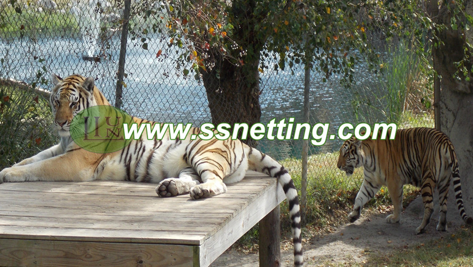 Excelentes productos de malla para ZOO Tiger Clave Fence Netting, Big Cat Fencing