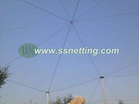 Shandong Bird park netting (7).jpg