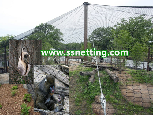Netificación de protección de jaula de mono grande / cerca de mono - malla de gabinetes de mono de acero inoxidable