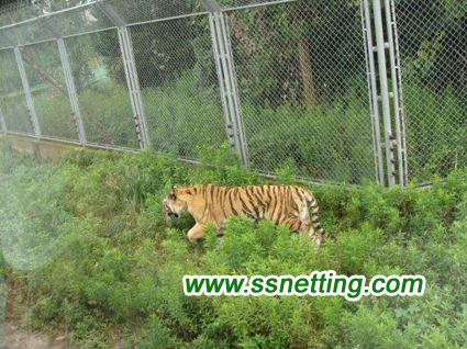 Redes seguras de protección de tigres
